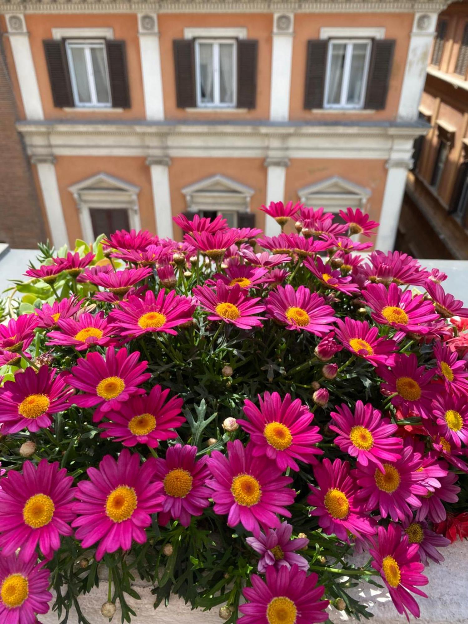 Terrazza Marco Antonio Luxury Suite Rome Exterior photo